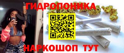 гидра Будённовск