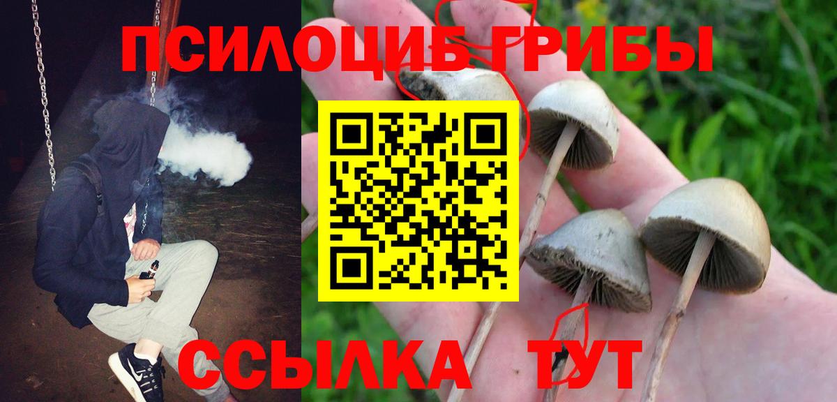 Ступино  Галлюциногенные грибы прущие грибы  Вход с VPN 